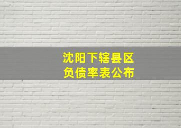 沈阳下辖县区 负债率表公布